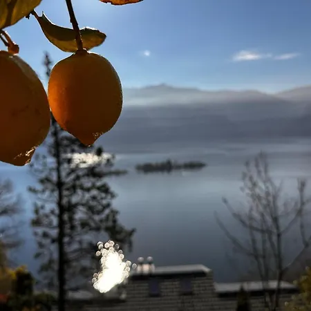 Holiday home Casa Carina Ronco sopra Ascona